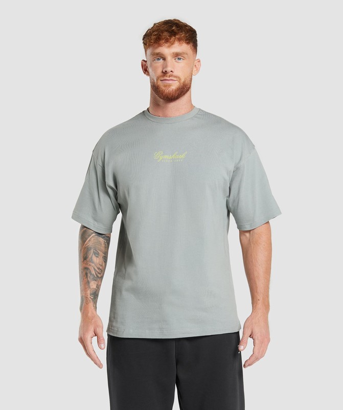 Gymshark Athletic Department T-Shirt T-Shirt Heren Grijs | VAPD73280
