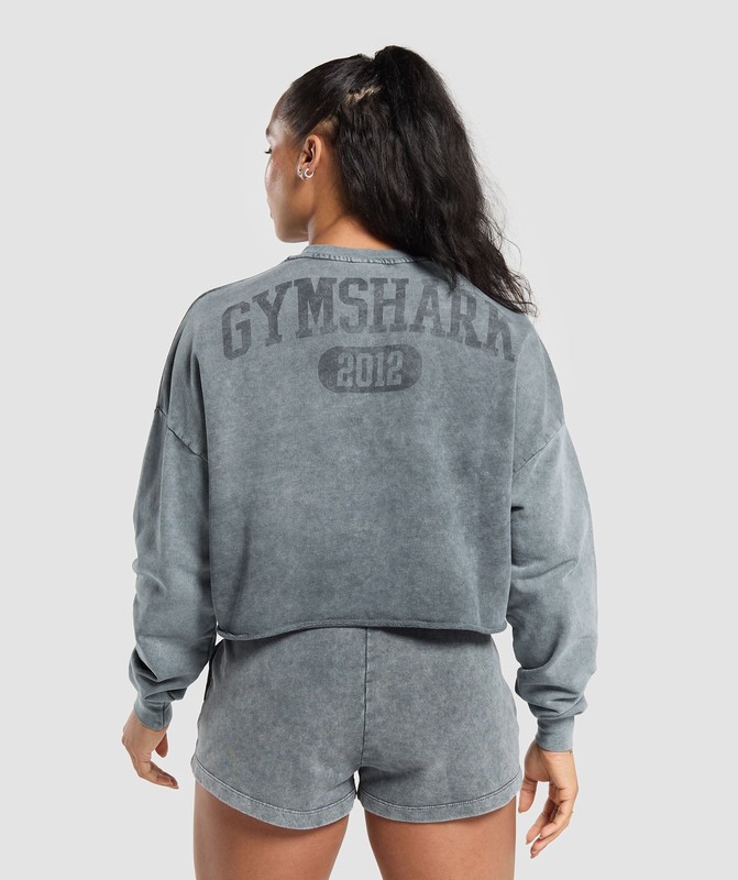 Gymshark Collegiate Shadow Washed Midi Sweatshirt Sweatshirts Dames Grijs | STVI38057