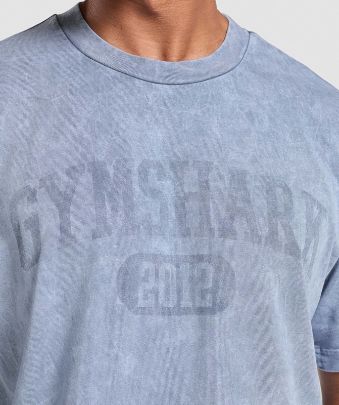 Gymshark Collegiate Shadow Washed T-Shirt T-Shirt Heren Blauw | DHME12763