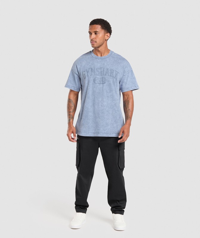 Gymshark Collegiate Shadow Washed T-Shirt T-Shirt Heren Blauw | DHME12763