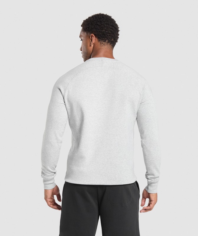 Gymshark Crest Crew Sokken Heren Lichtgrijs | ICDL48097