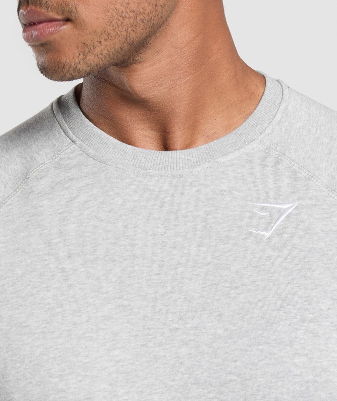 Gymshark Crest Crew Sokken Heren Lichtgrijs | ICDL48097