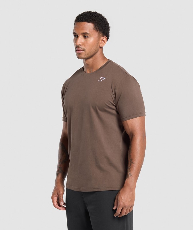 Gymshark Crest T-Shirt T-Shirt Heren Bruin | KSYU62789