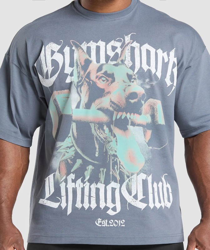 Gymshark Doberman Graphic T-Shirt T-Shirt Heren Blauw | SEJI46529