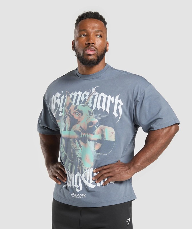 Gymshark Doberman Graphic T-Shirt T-Shirt Heren Blauw | SEJI46529