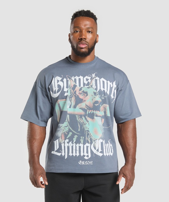 Gymshark Doberman Graphic T-Shirt T-Shirt Heren Blauw | SEJI46529