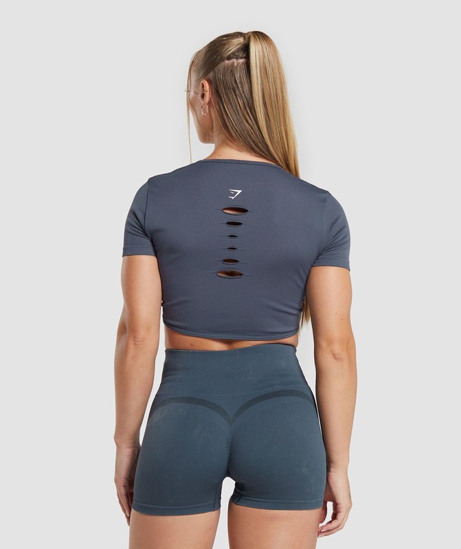 Gymshark Gains Seamless Fitted Crop Top Crop Top Dames Titanium Blauw | RPME19658