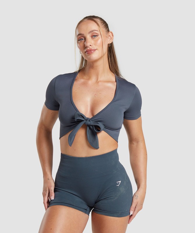 Gymshark Gains Seamless Fitted Crop Top Crop Top Dames Titanium Blauw | RPME19658
