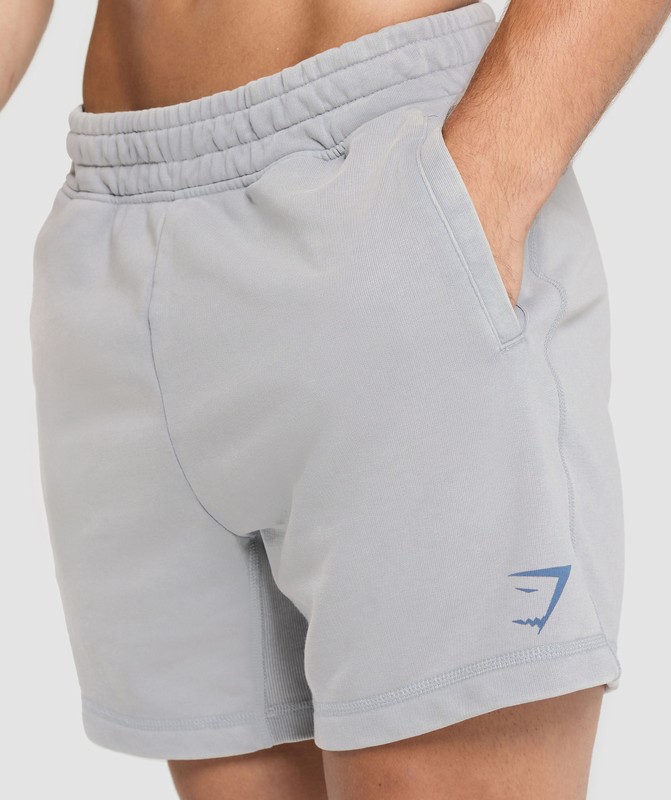 Gymshark Heritage 5" Shorts Korte Broek Heren Grijs Lichtturkoois | VAUK02678