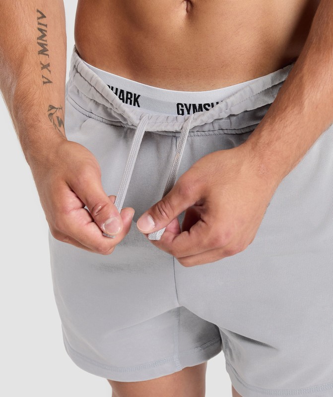 Gymshark Heritage 5" Shorts Korte Broek Heren Grijs Lichtturkoois | VAUK02678