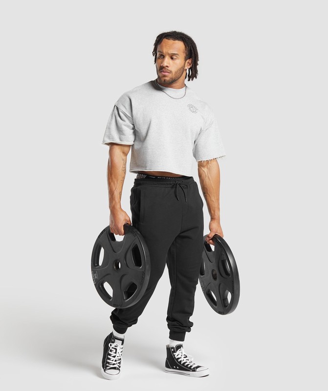 Gymshark Legacy Cropped Short Sleeve Crew Sokken Heren Lichtgrijs | VZPN40697