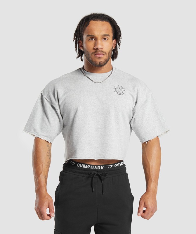 Gymshark Legacy Cropped Short Sleeve Crew Sokken Heren Lichtgrijs | VZPN40697