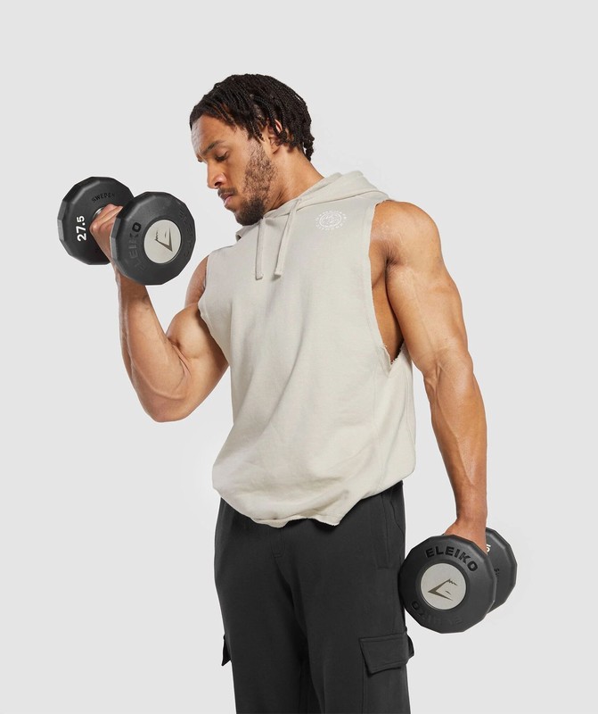 Gymshark Legacy Drop Arm Hoodie Hoodie Heren Grijs | CNLS90637