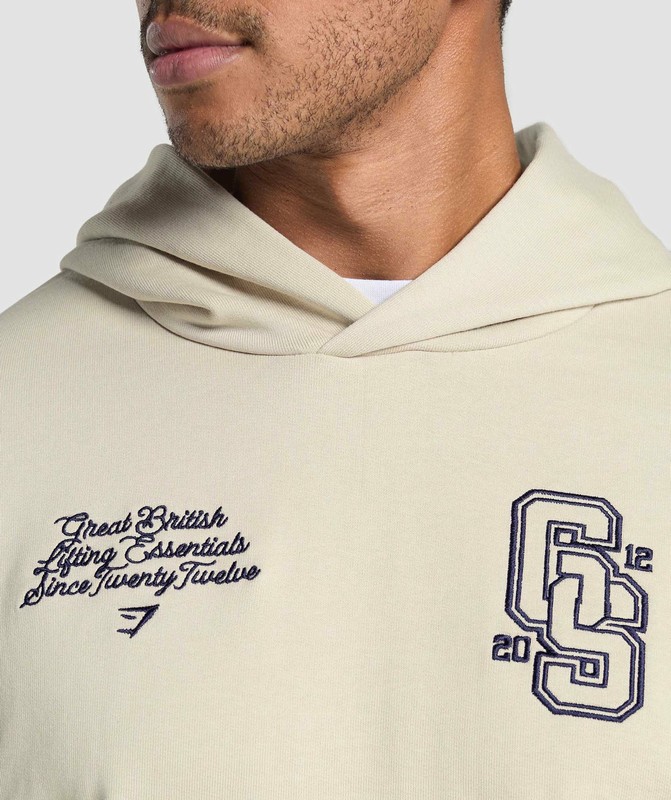 Gymshark Lifting Essentials Hoodie Hoodie Heren Grijs | QASF51487