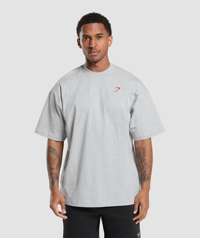 Gymshark Power Overlay OS Tee GFX T-Shirt Heren Lichtgrijs | SFMP17843