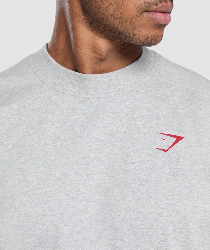 Gymshark Power Overlay OS Tee GFX T-Shirt Heren Lichtgrijs | SFMP17843