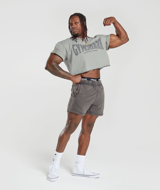 Gymshark Power Washed 5" Shorts Korte Broek Heren Grijs | EJHM47902