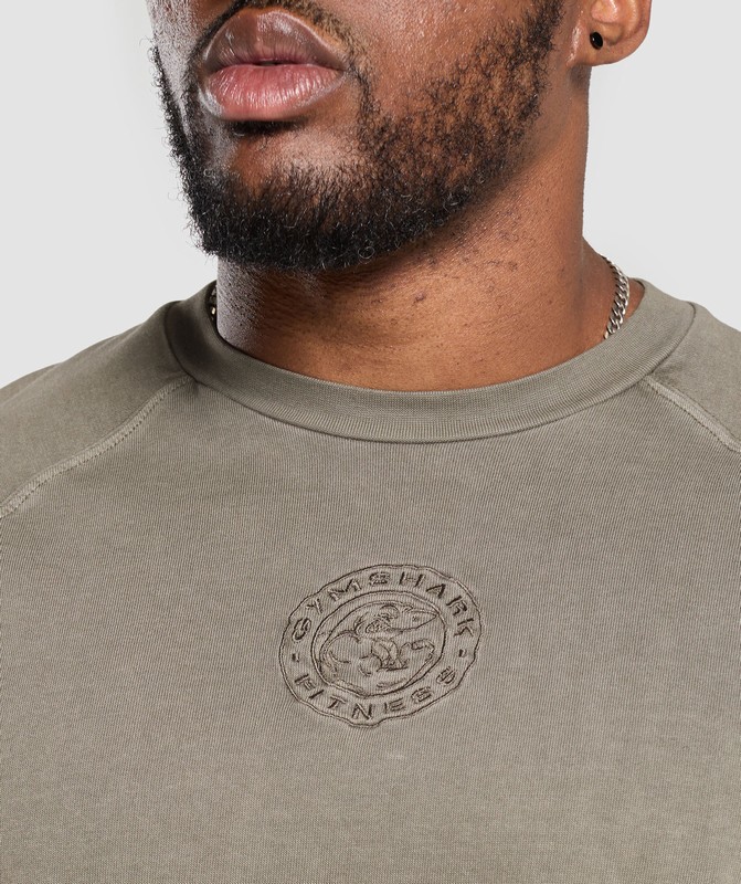 Gymshark Premium Legacy T-Shirt T-Shirt Heren Camo Bruin | TCGR21087