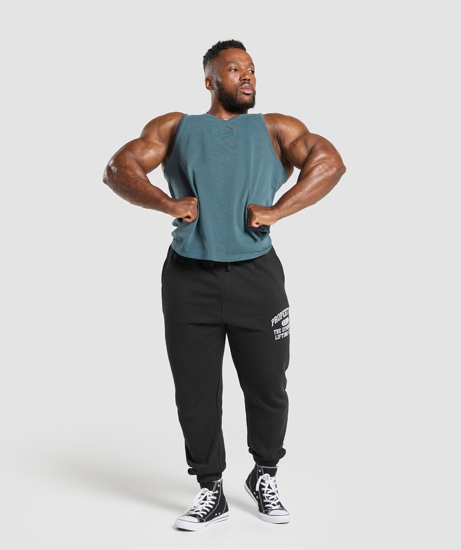 Gymshark Premium Legacy Tank Tanktop Heren Blauw | WVLM34850