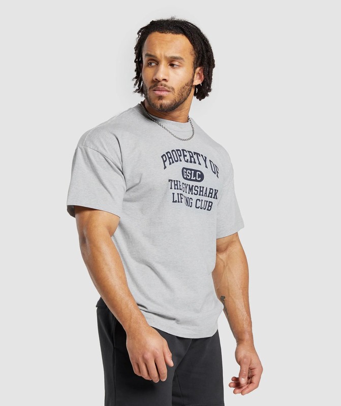 Gymshark Property Of T-Shirt T-Shirt Heren Lichtgrijs | XFDL84572