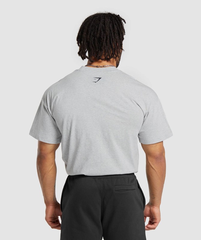 Gymshark Property Of T-Shirt T-Shirt Heren Lichtgrijs | XFDL84572