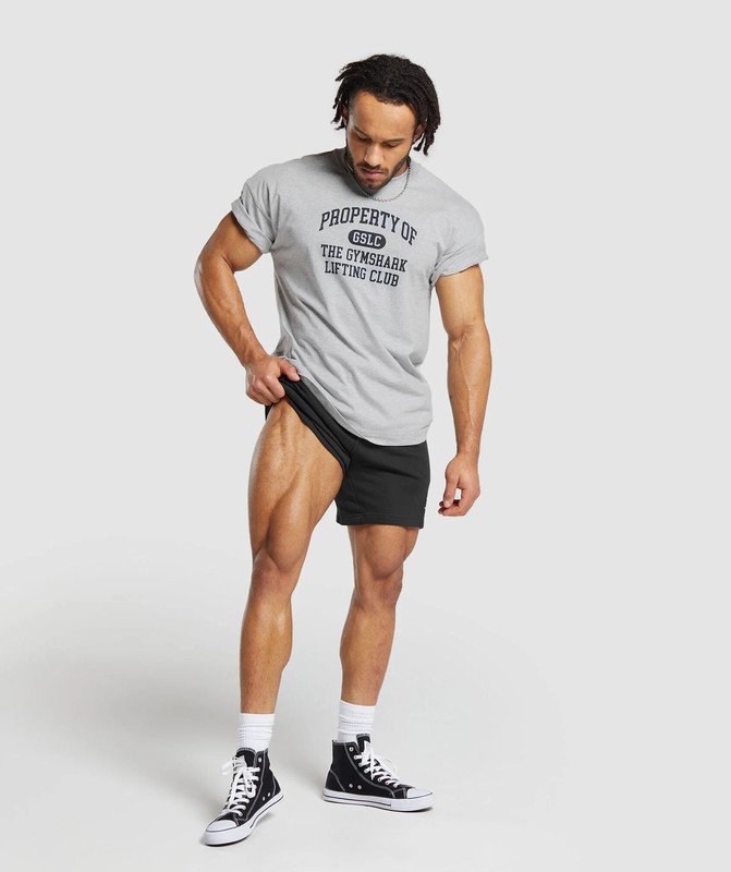Gymshark Property Of T-Shirt T-Shirt Heren Lichtgrijs | XFDL84572