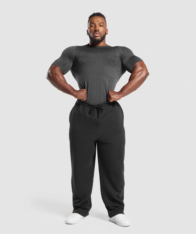 Gymshark Tectonic Seamless T Shirt T-Shirt Heren Grijs Zwart | RGVK13790