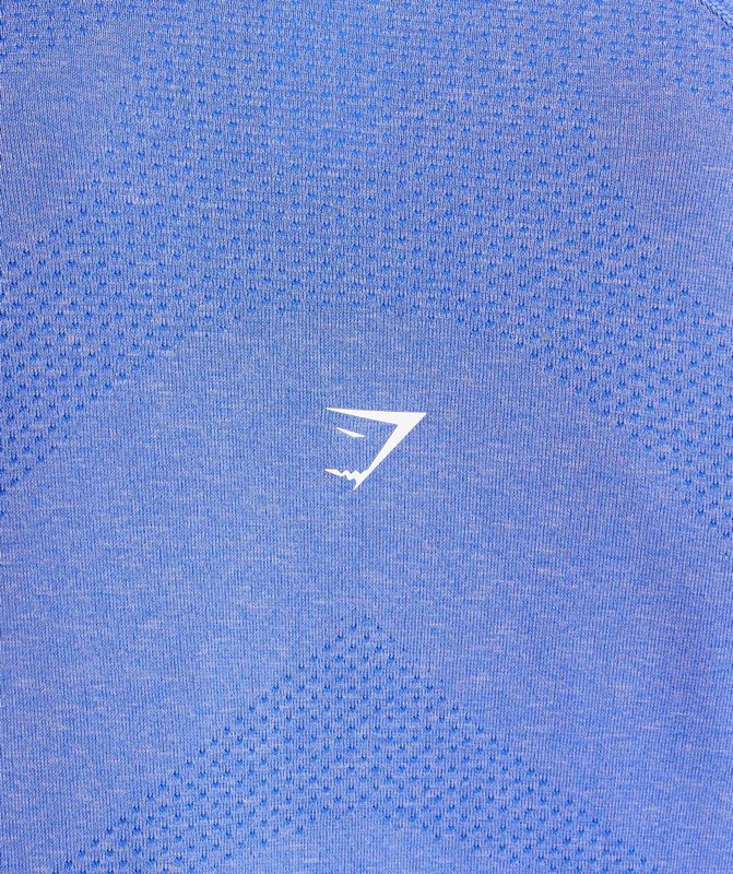 Gymshark Vital Seamless Light Long Sleeve Top Top Dames Blauw | UYKO19763